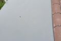 Flat Roofing